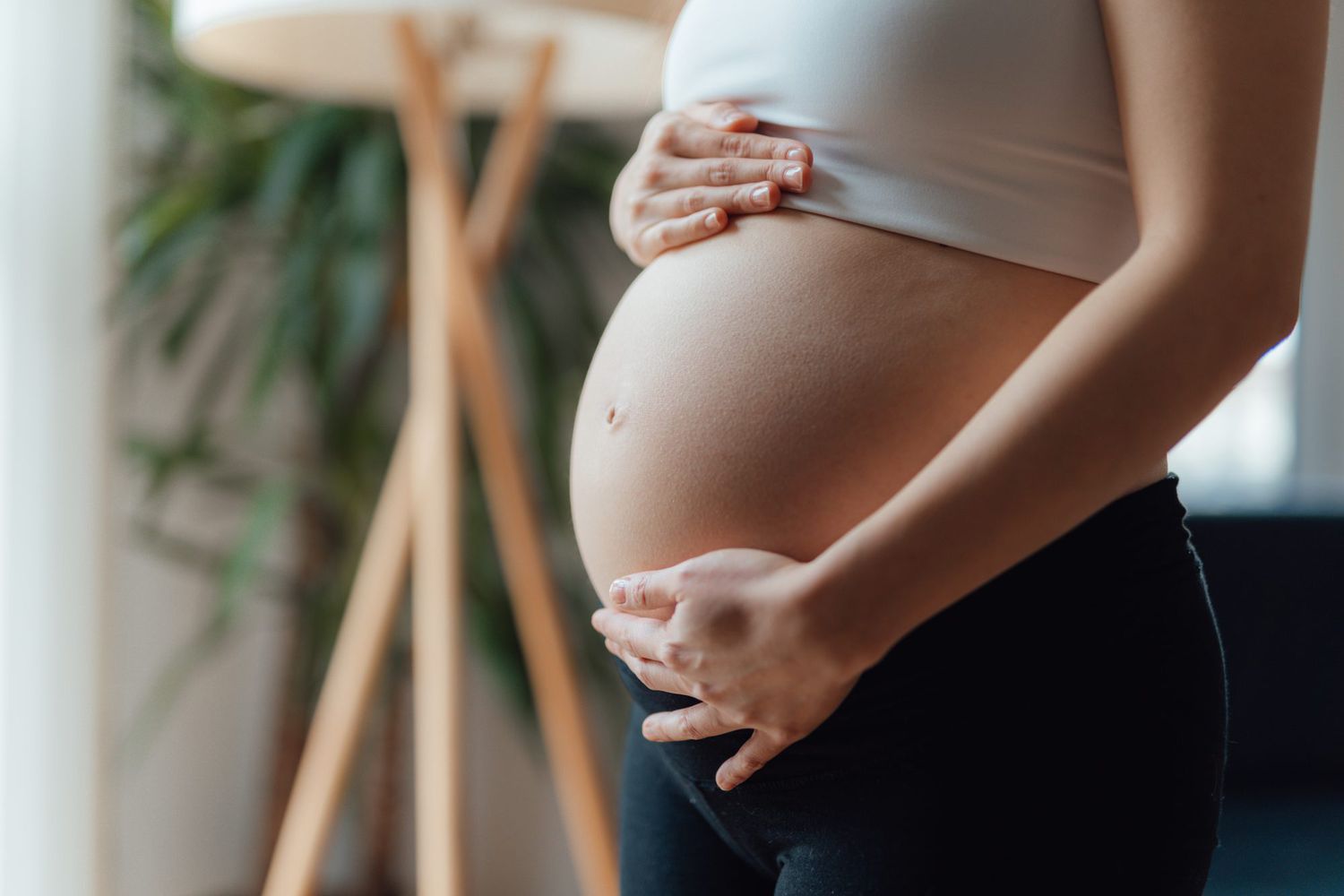 Understanding Surrogacy success rates and statistics
