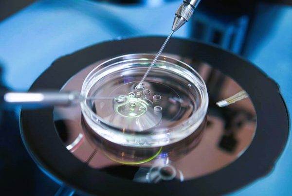 The Alabama Ruling on embryos